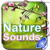 Nature Sounds To Relax Sleep