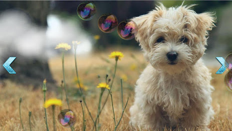 Baby Soap bubbles poster 9