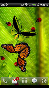 Friendly Bugs Free L.Wallpaper(圖2)-速報App
