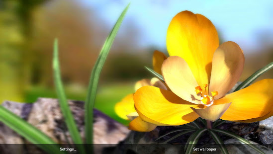 Nature Live ❁ Spring Flowers 3D(圖3)-速報App