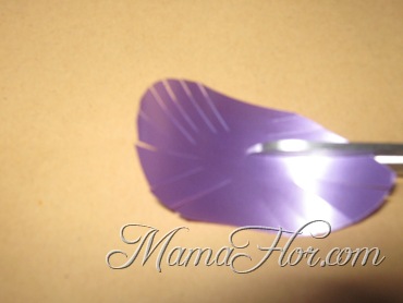 [mamaflor-2373.jpg]