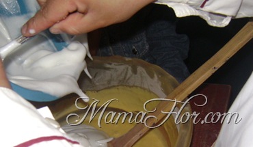 [mamaflor-5327[3.jpg]
