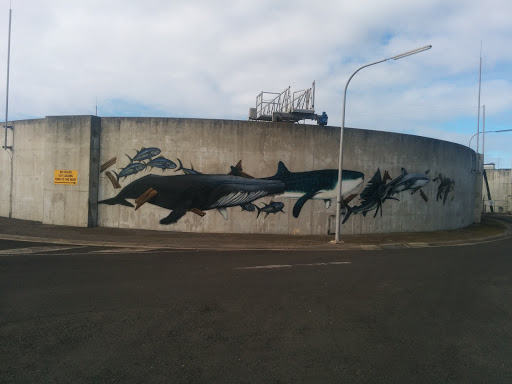 Creatures Of The Ocean Mural