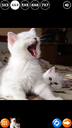 Tile Puzzle: Cute Kittens 2 poster 4