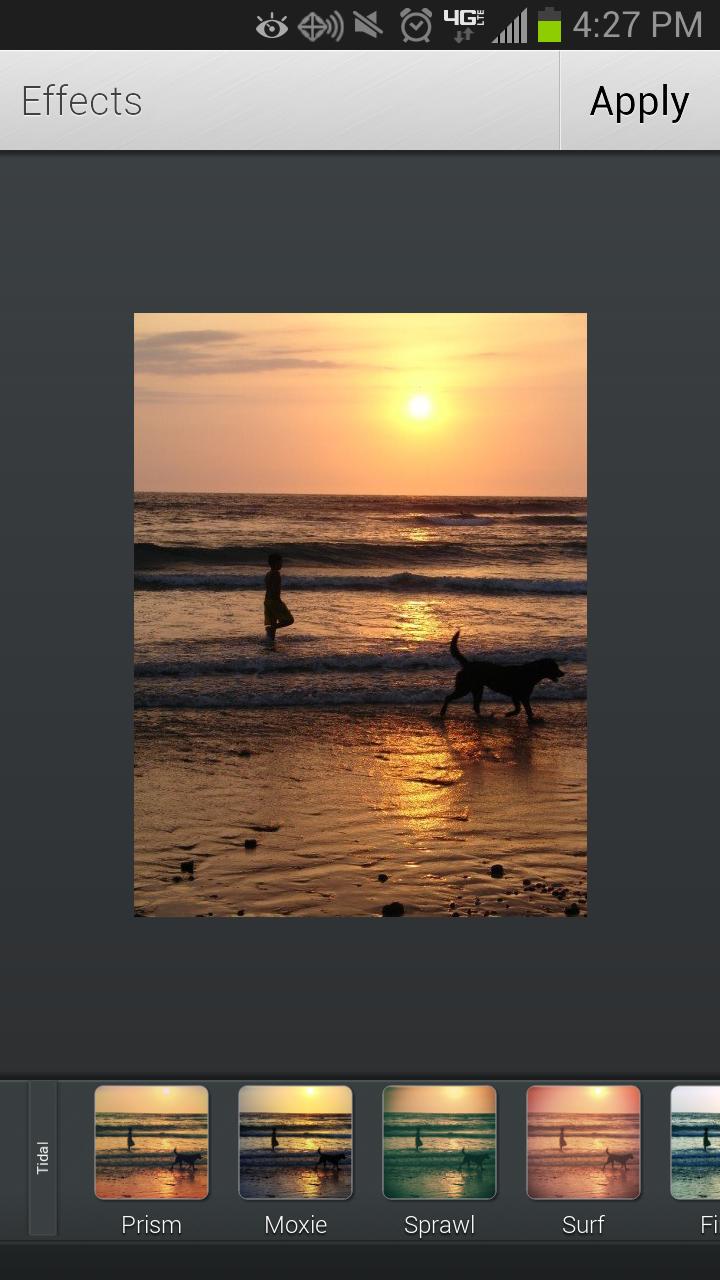 Aviary Effects:  Tidal Screen 1