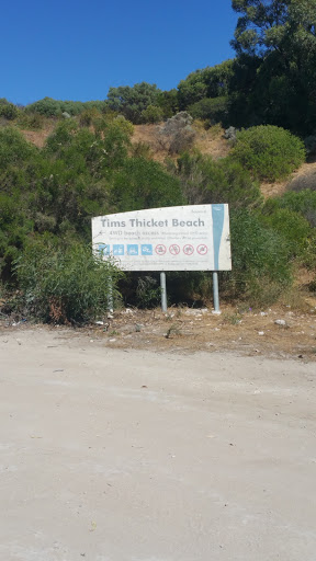 Tims Thicket Beach