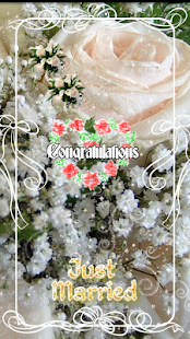 Nicky Greetings Pro(圖7)-速報App