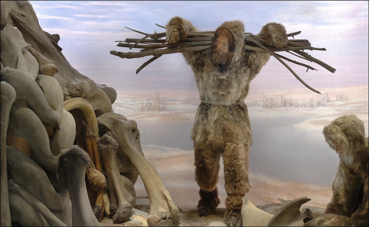 Cro Magnons Amnh Google Arts Culture
