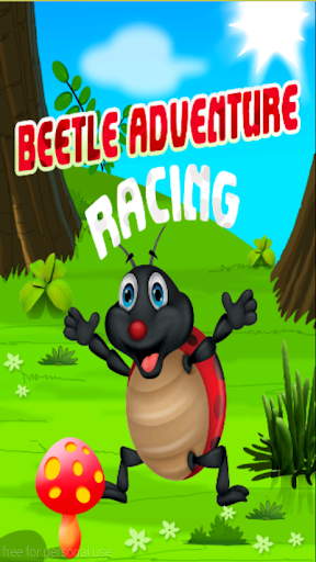 Beetle adventure racing