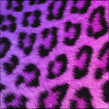 GO SMS Girly Cheetah Theme logo