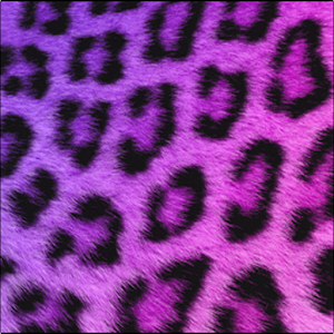 GO SMS Girly Cheetah Theme 1.2 Icon