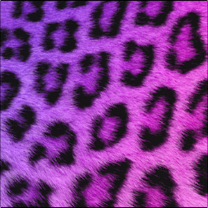 GO SMS Girly Cheetah Theme 個人化 App LOGO-APP開箱王