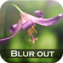 Blur Out Picture Backgrounds icon