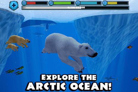 Polar Bear Simulator(圖3)-速報App