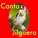 Canto Jilguero icon