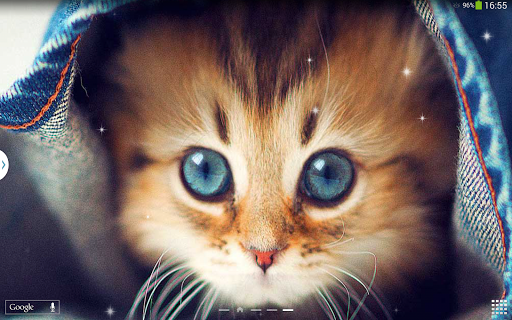 【免費個人化App】Cute Cats Live Wallpaper-APP點子