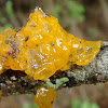 False witch's butter