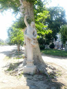 Villa Comunale - Statua Dioniso 