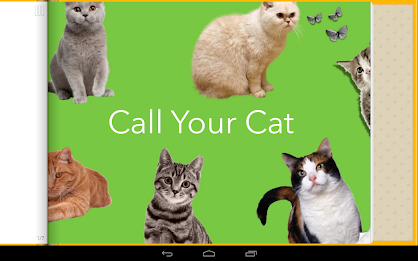 Call Your Cat Sound Board poster 4