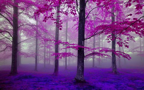 AywajAgSnbJgqV72dzs0VrTSfTdvkN82VFwuXGGFq8cdyuwO9q1YpaH6nQkIYyRPs6qc=h310