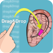 Drag&Drop Reflexology (ears)