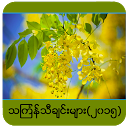 Myanmar Thingyan 2015 mobile app icon