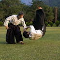 Aikido Windance Dojo Index logo