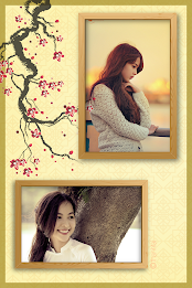Lunar New Year Frames Collage poster 14