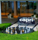 Capri Fountain