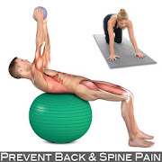 Prevent Back Pain | Core 2.0 Icon