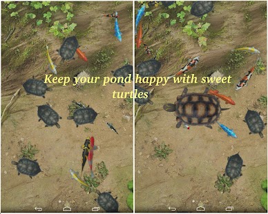 Water Pool PRO Screenshot