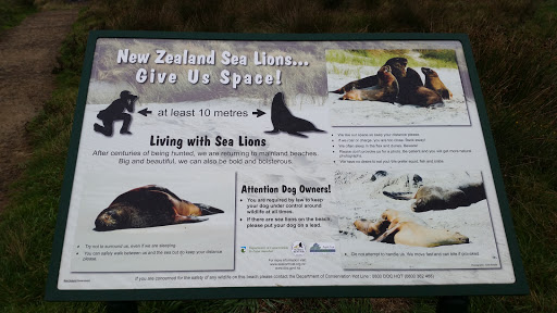 Sea Lion Info Board