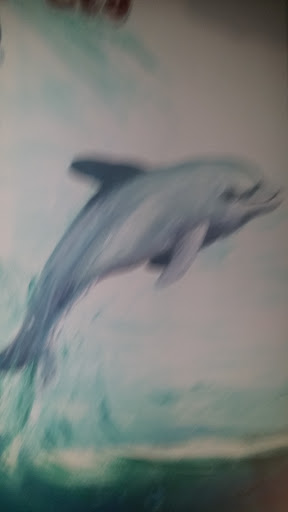 Dolphine Mural