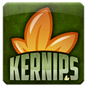Kernips 1.6