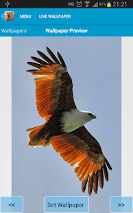 Eagles Wallpapers(圖3)-速報App