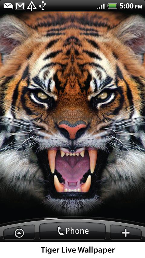 Tiger Live Wallpaper Screen 2