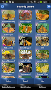 Butterfly Id - British Isles(圖1)-速報App