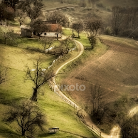 Up to home by Andrei Grososiu - Landscapes Mountains & Hills