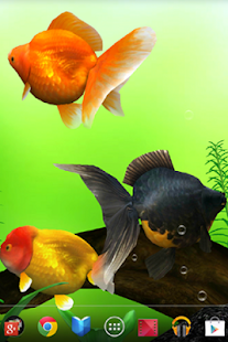 Gold Fish 3D(圖2)-速報App