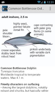 Download eGuide: Whales,Dolphins,Seals APK for Android