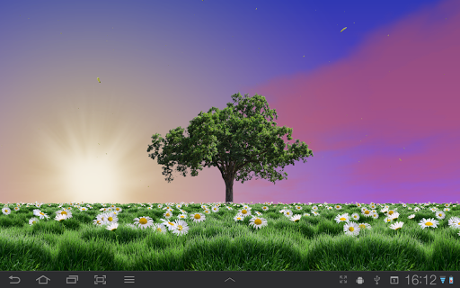 【免費個人化App】Summer Trees Live Wallpaper-APP點子