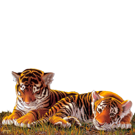 Widgets store: Tigers