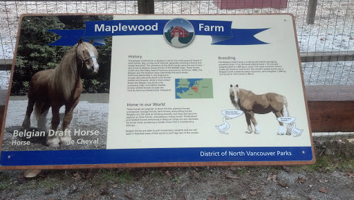 Maplewood Farm Draft Horse Plaque