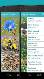 iKnow Medicinal Plants 2 LITE(圖4)-速報App