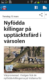 eHN - Falkenberg poster 4