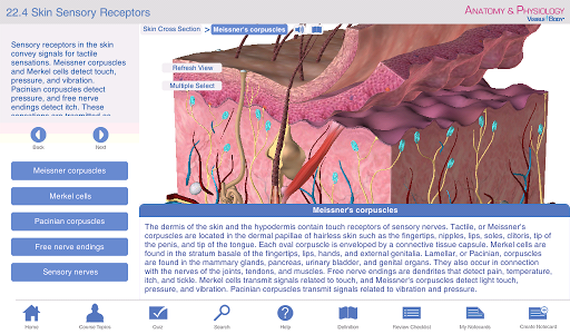 【免費醫療App】Anatomy & Physiology-APP點子