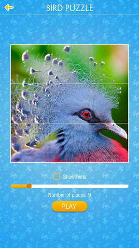 Jigsaw Puzzle: Bird