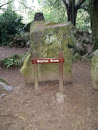 Witches Stone