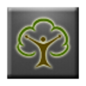 Feywa logo