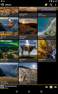 MediaMonkey Screenshot
